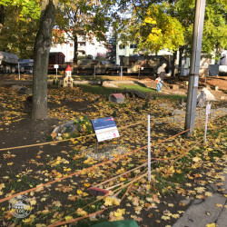 Toto nás čakalo ráno ...