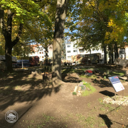 ... a takto sme to vyčistili