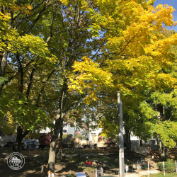 Počasie sa vydarilo